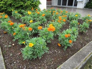 IMG_3454 IMG_3454