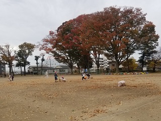 20201120_084706(2) 20201120_084706(2)