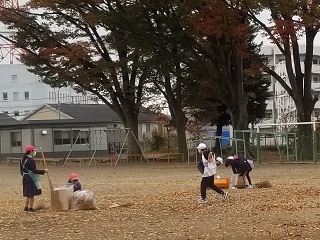 20201120_084706 (3)