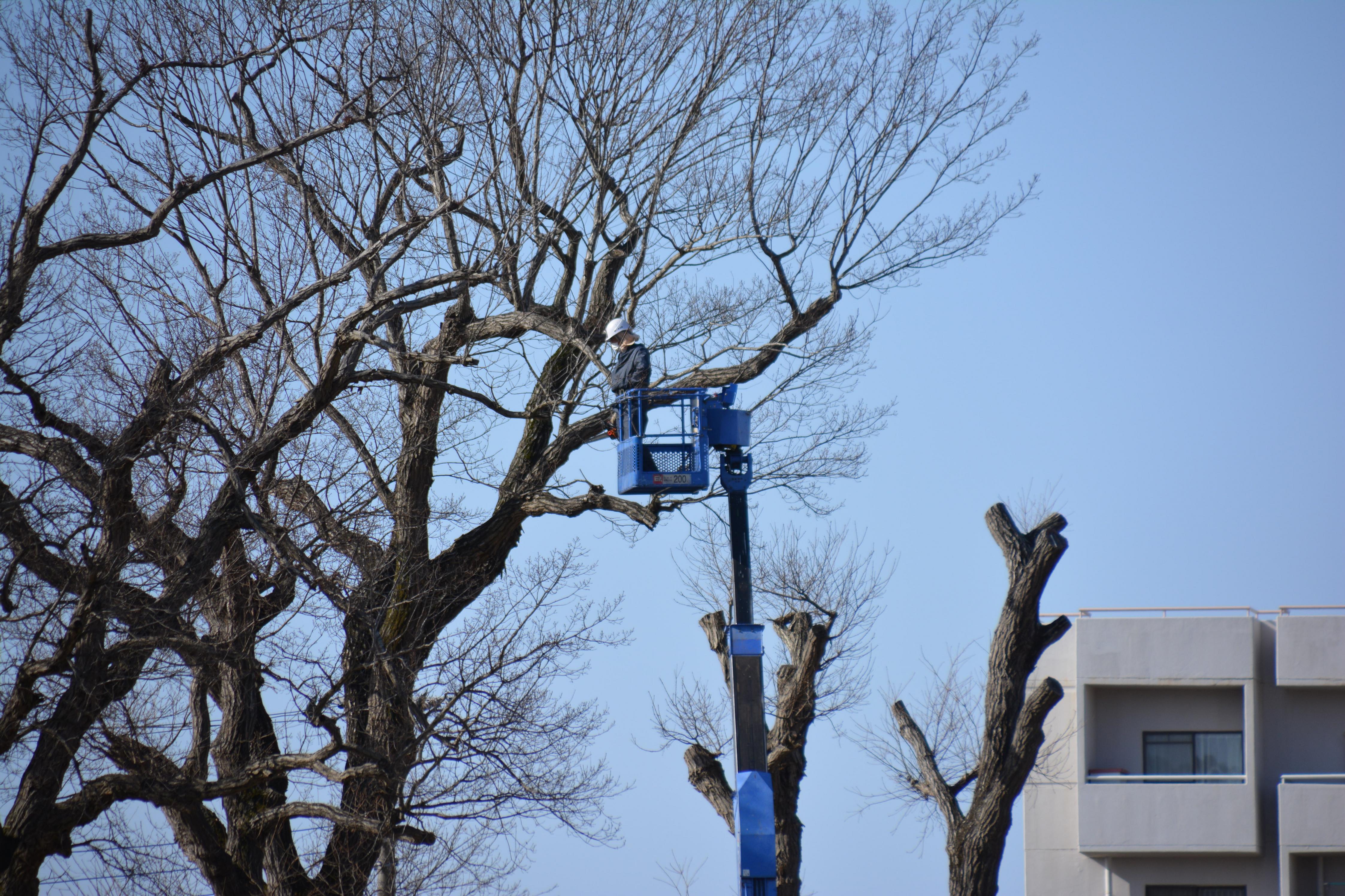 DSC_0630 DSC_0630