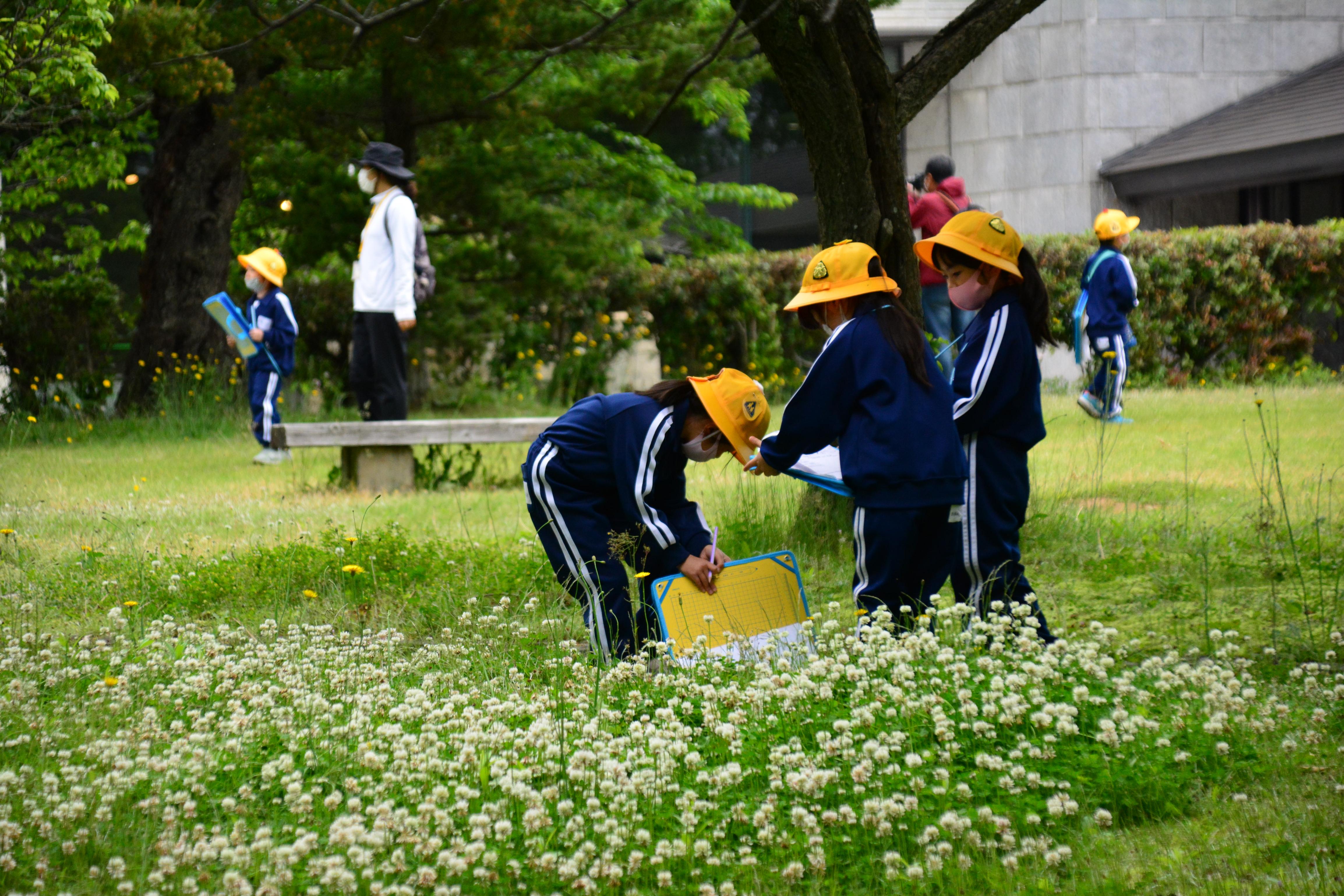 DSC_0359 DSC_0359