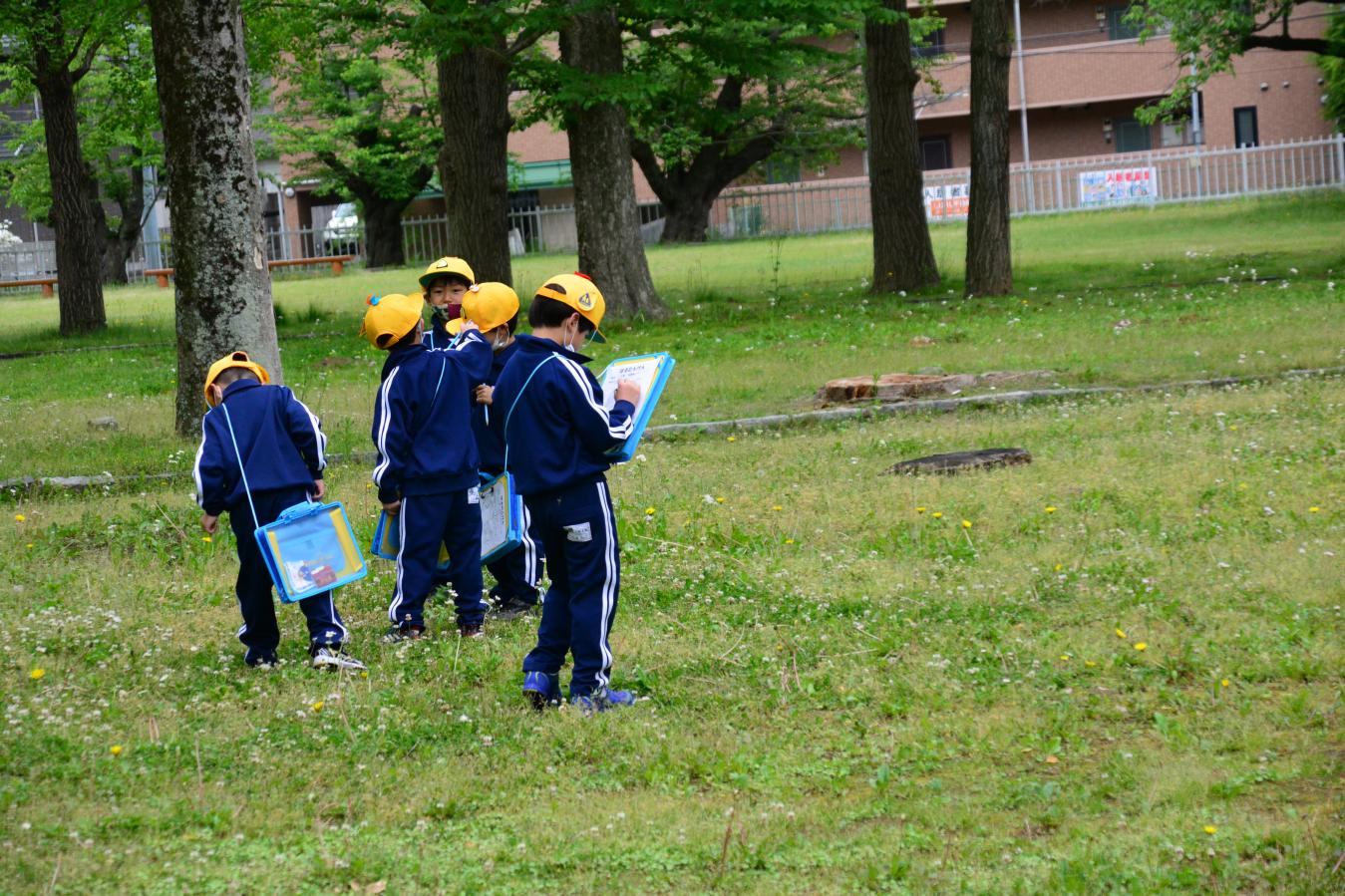 DSC_0354 DSC_0354