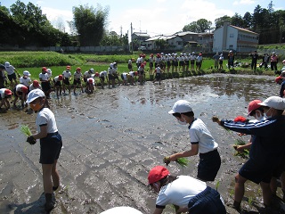 IMG_1809-R IMG_1809-R