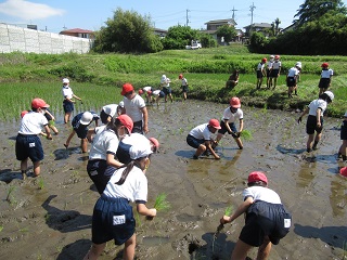 IMG_1811-R IMG_1811-R