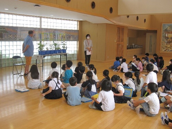 yasai-1 yasai-1