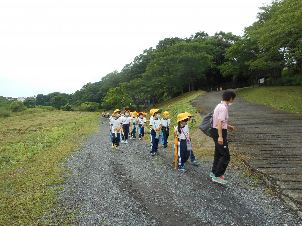 DSCN9889 DSCN9889