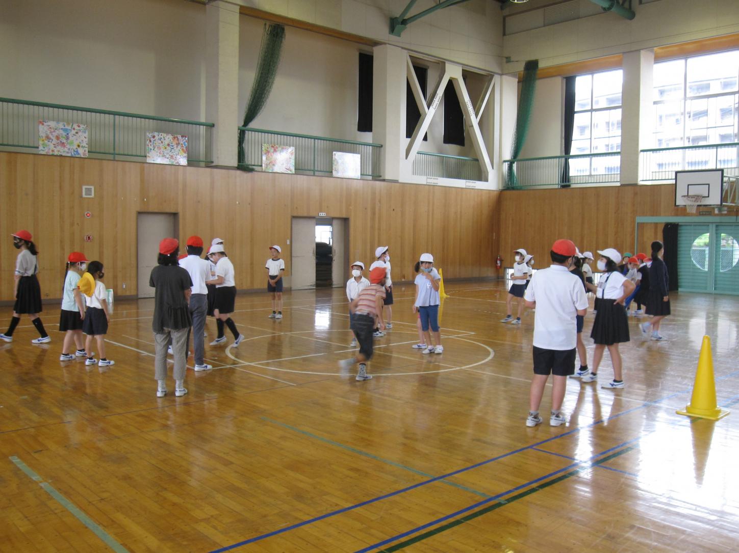 IMG_8356 IMG_8356