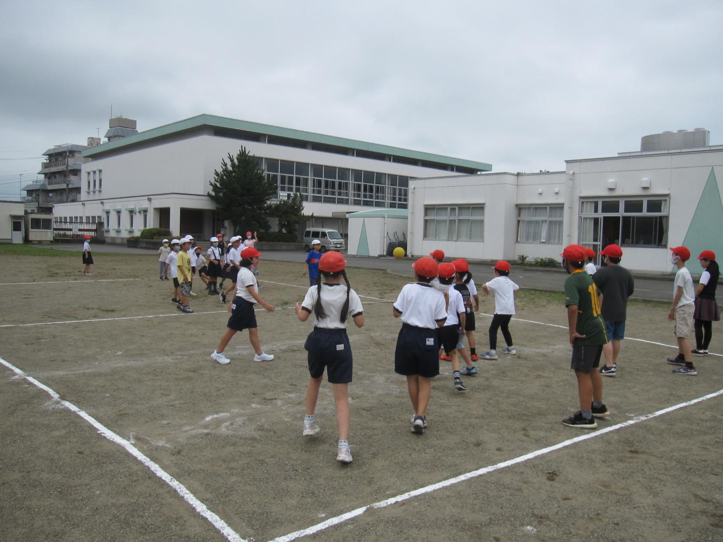 IMG_8378 IMG_8378
