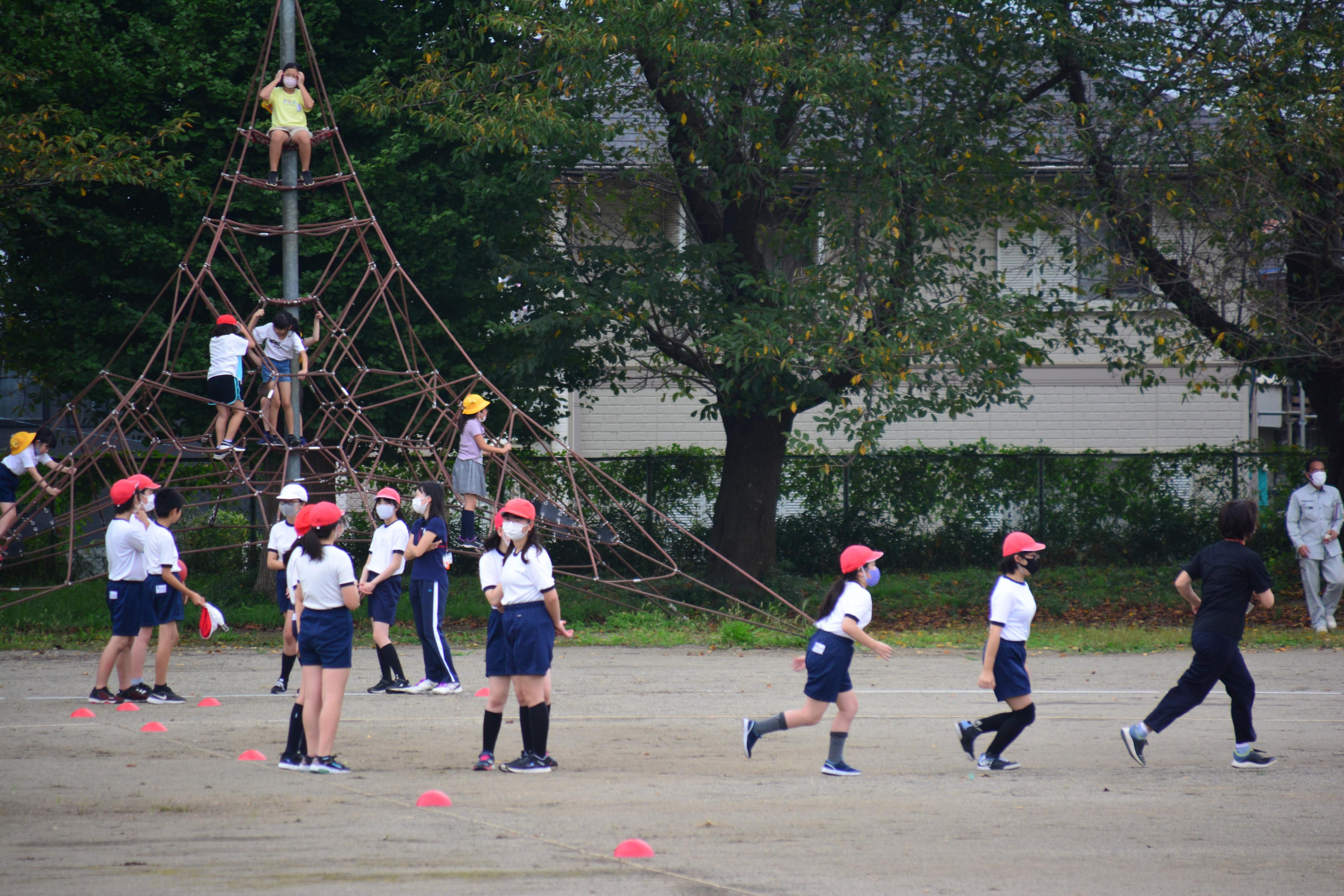 DSC_0232 DSC_0232