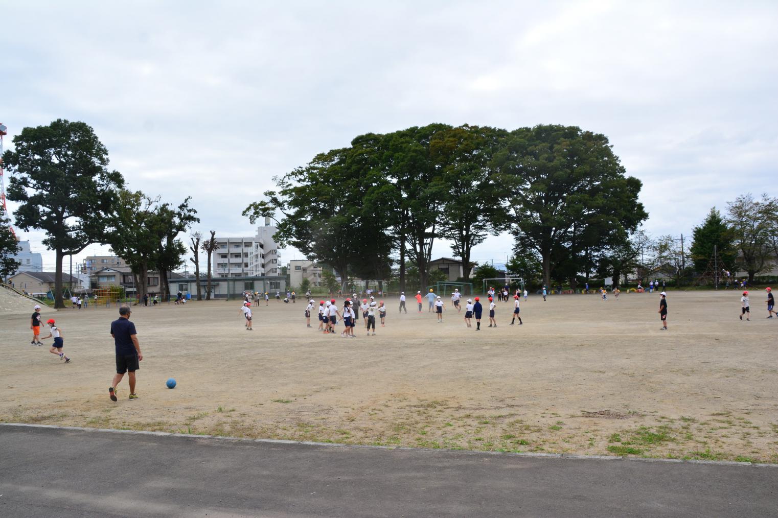DSC_0342 DSC_0342