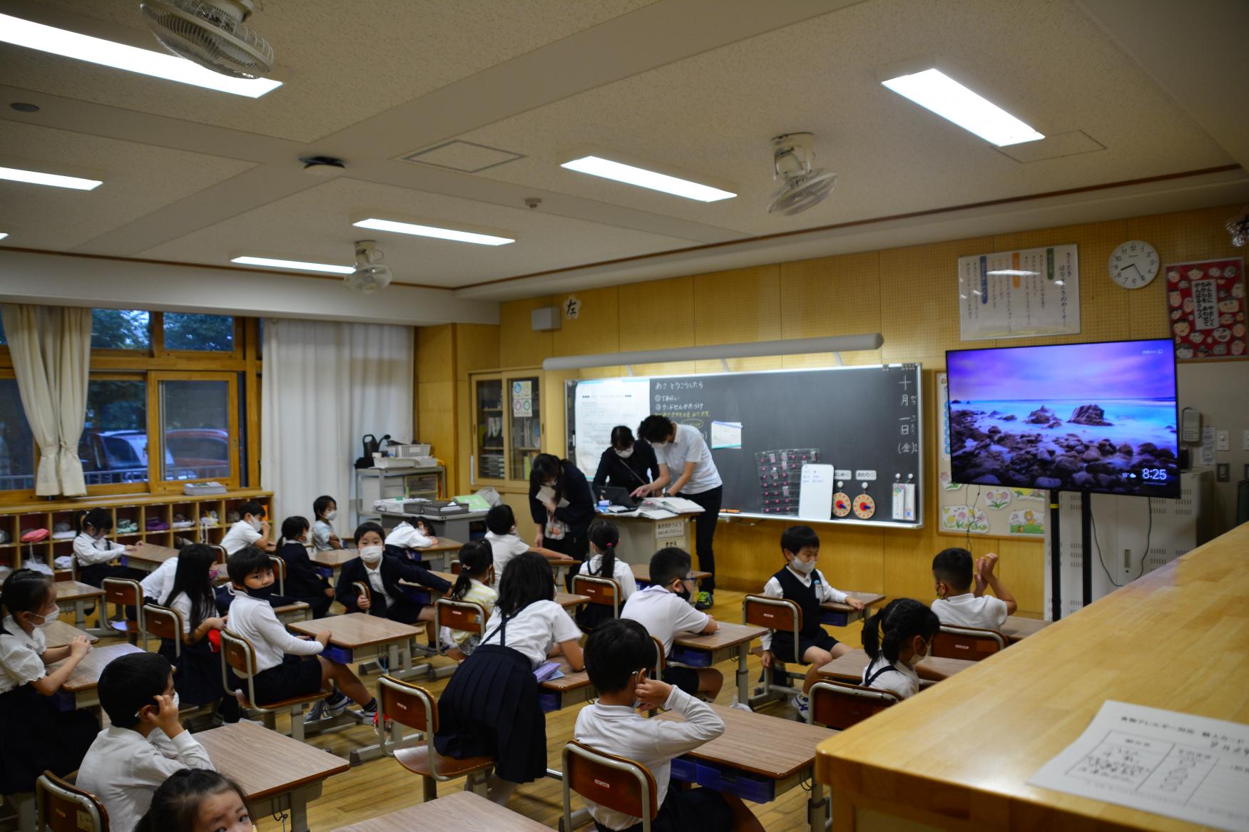 DSC_0381 DSC_0381