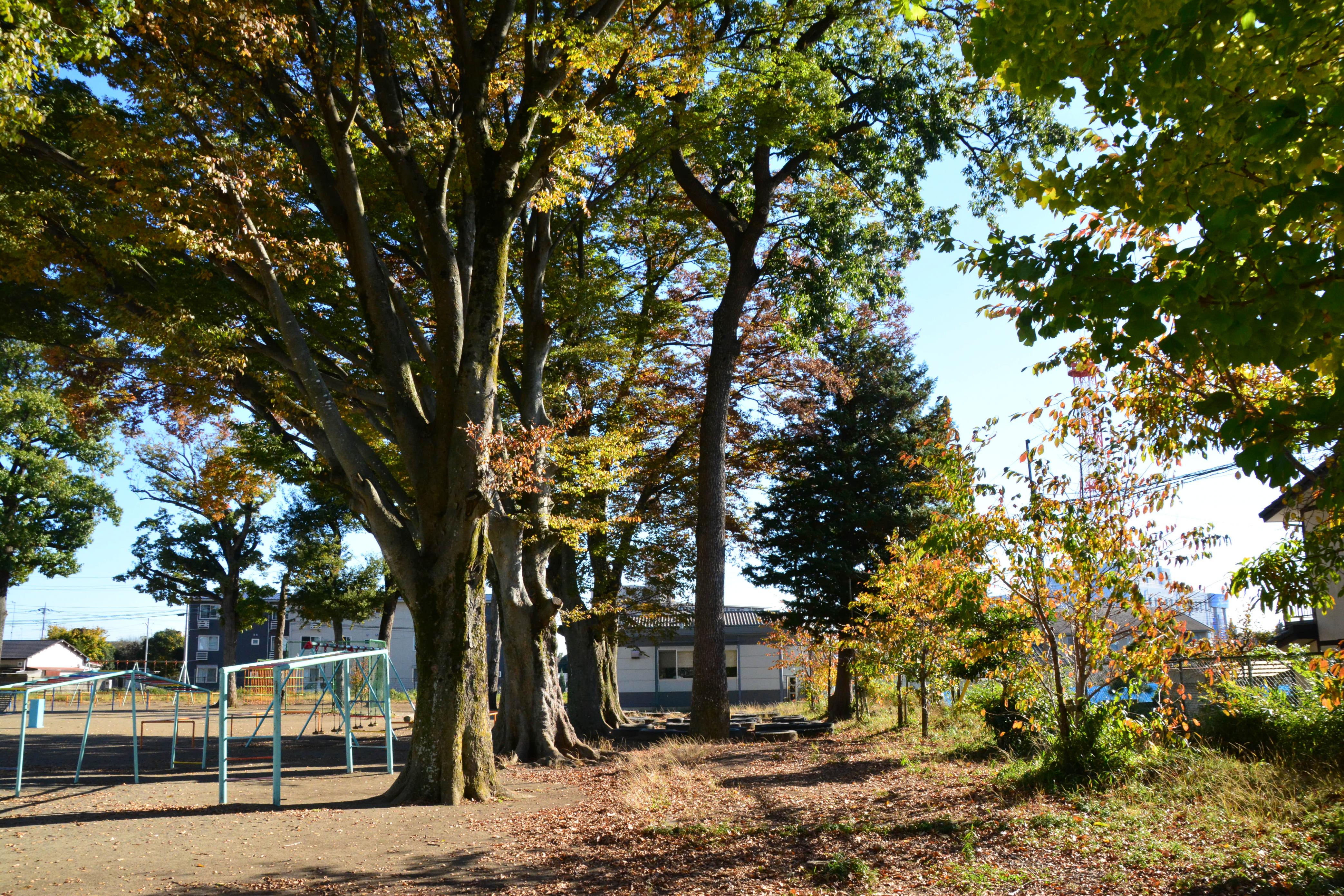 DSC_0294 DSC_0294