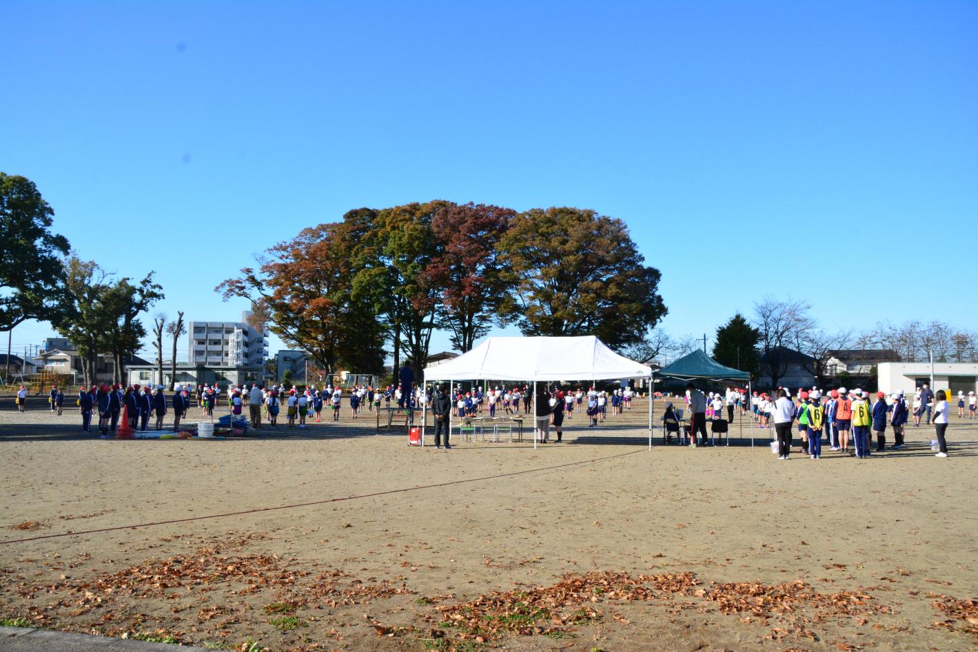DSC_0309 DSC_0309
