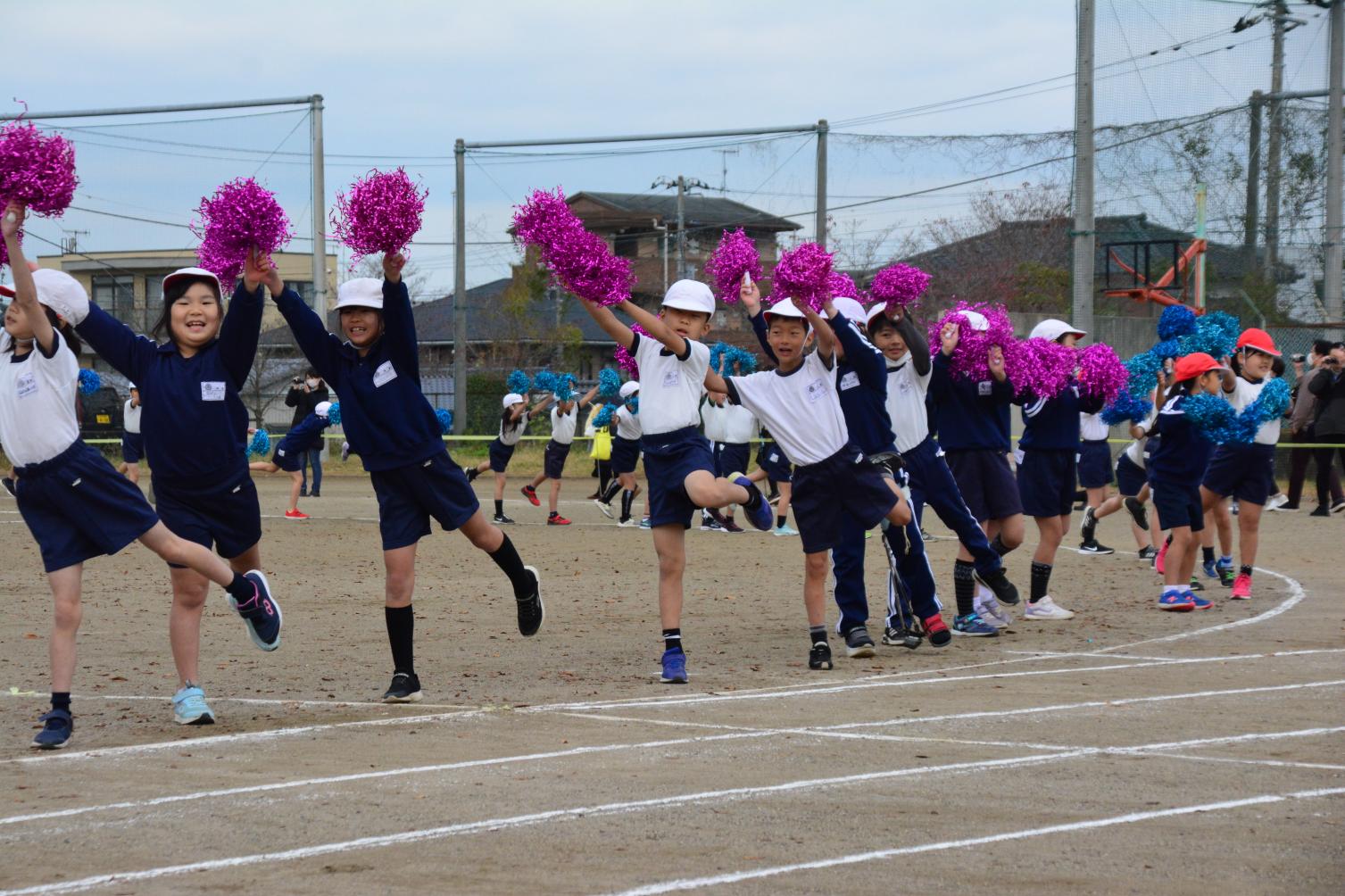 DSC_0485 DSC_0485