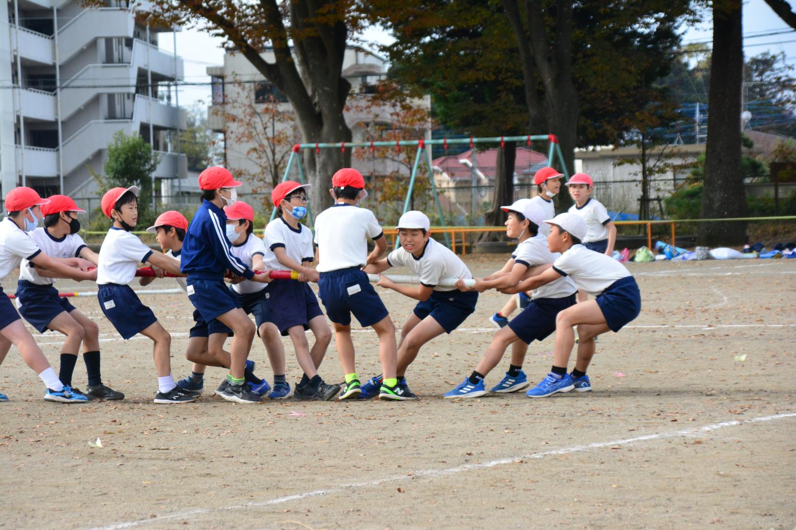 DSC_0608 DSC_0608