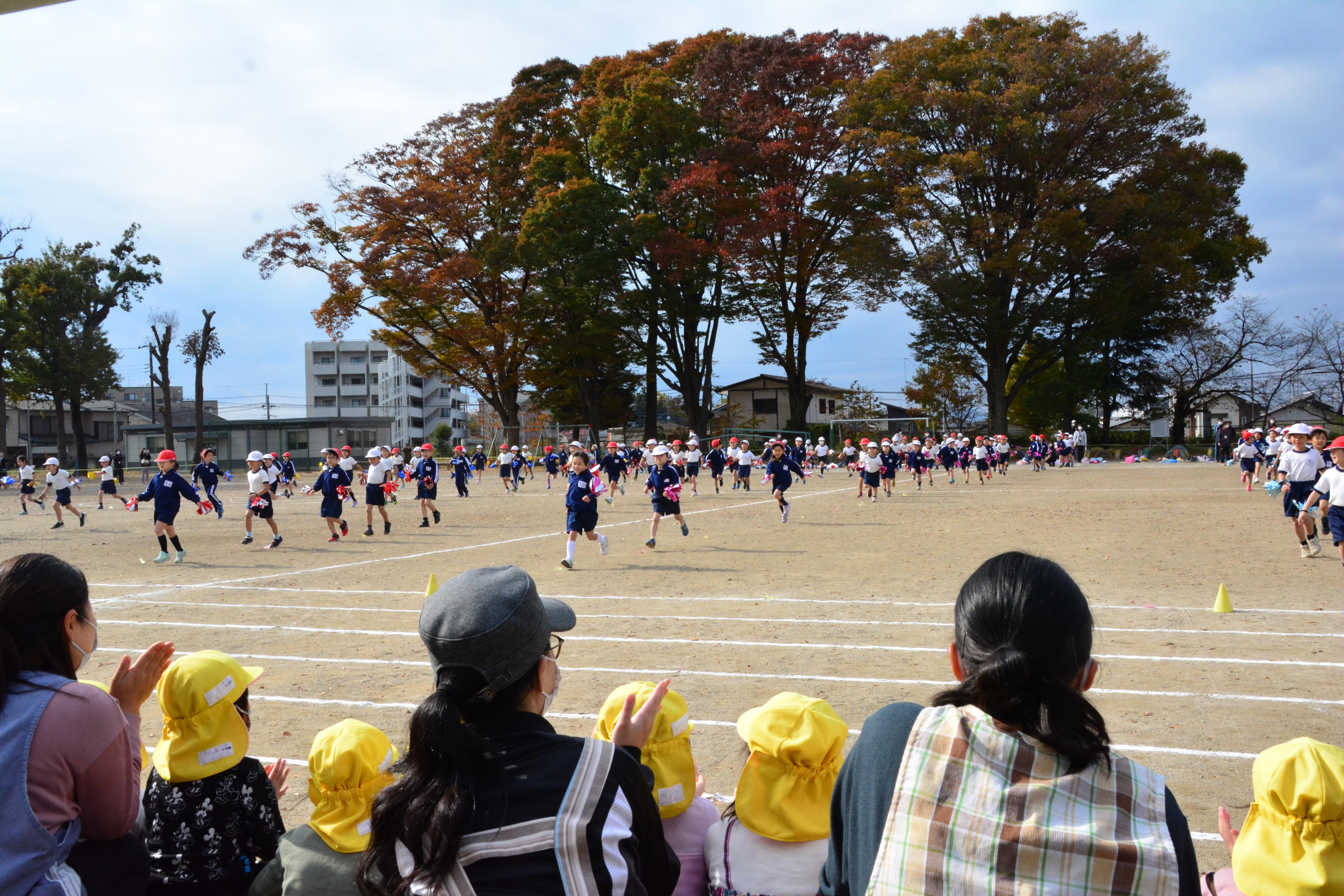 DSC_0635 DSC_0635
