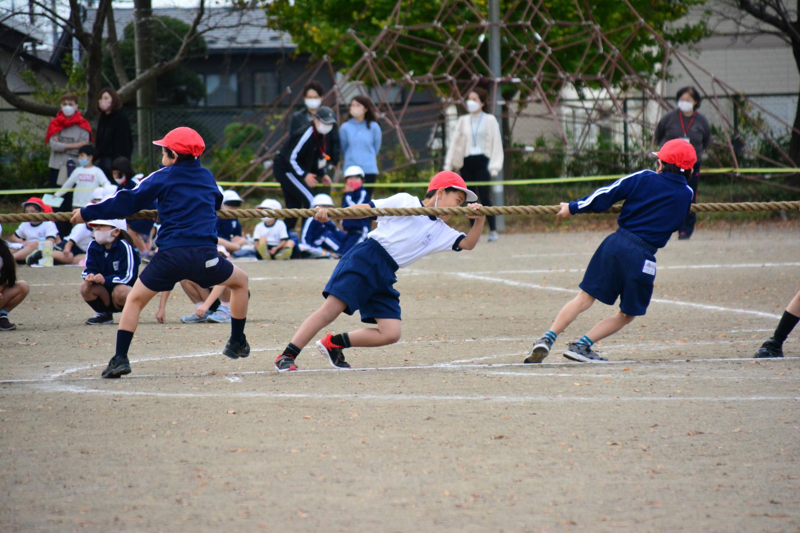 DSC_0708 DSC_0708