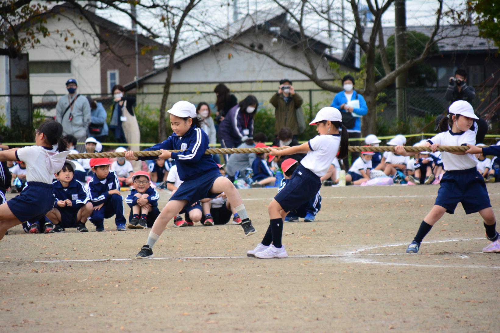 DSC_0706 DSC_0706