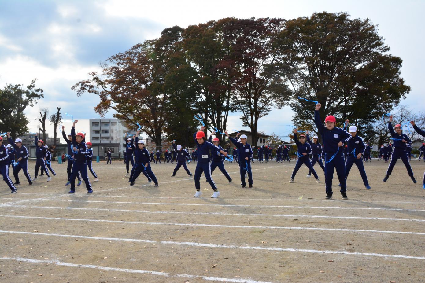 DSC_0729 DSC_0729