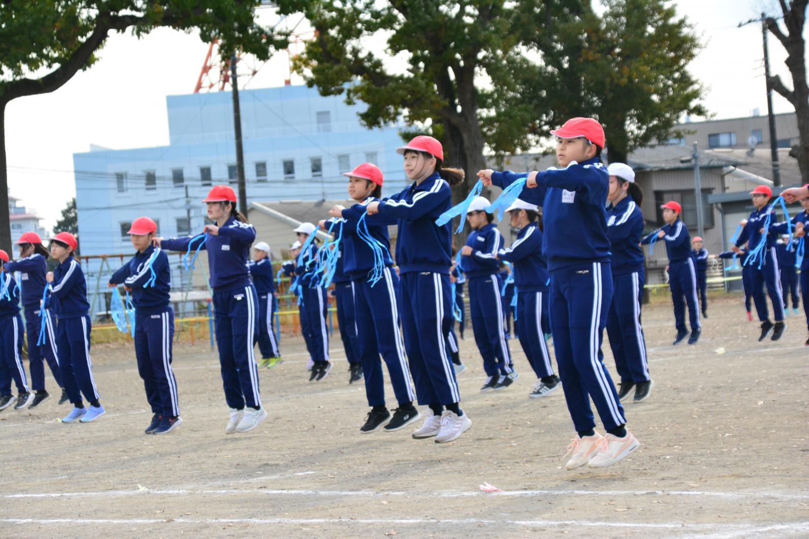 DSC_0742 DSC_0742