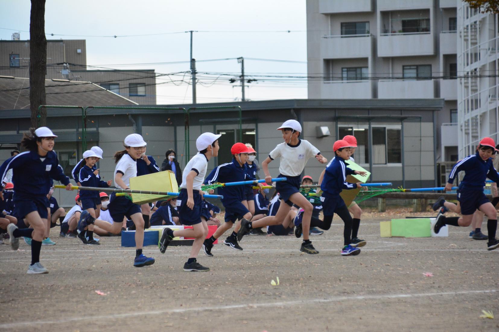 DSC_0812 DSC_0812