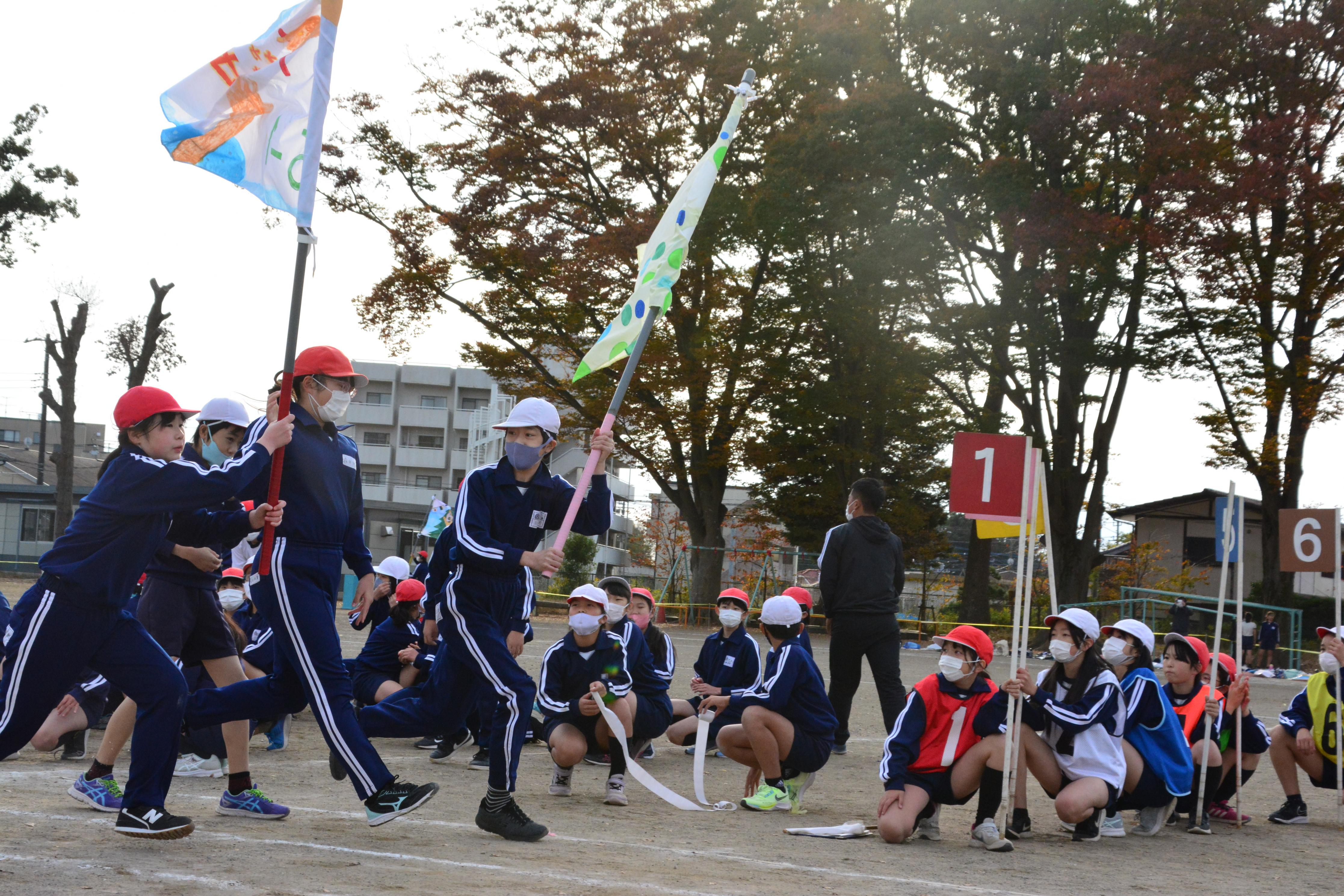 DSC_0877 DSC_0877