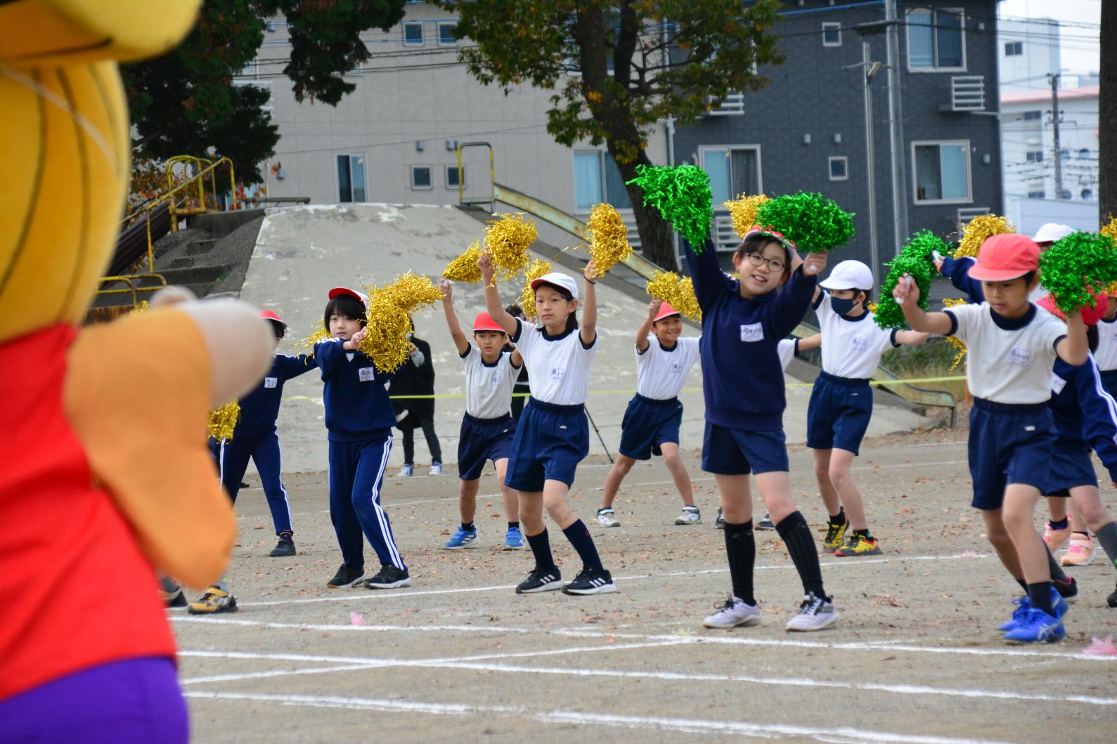DSC_0481 DSC_0481
