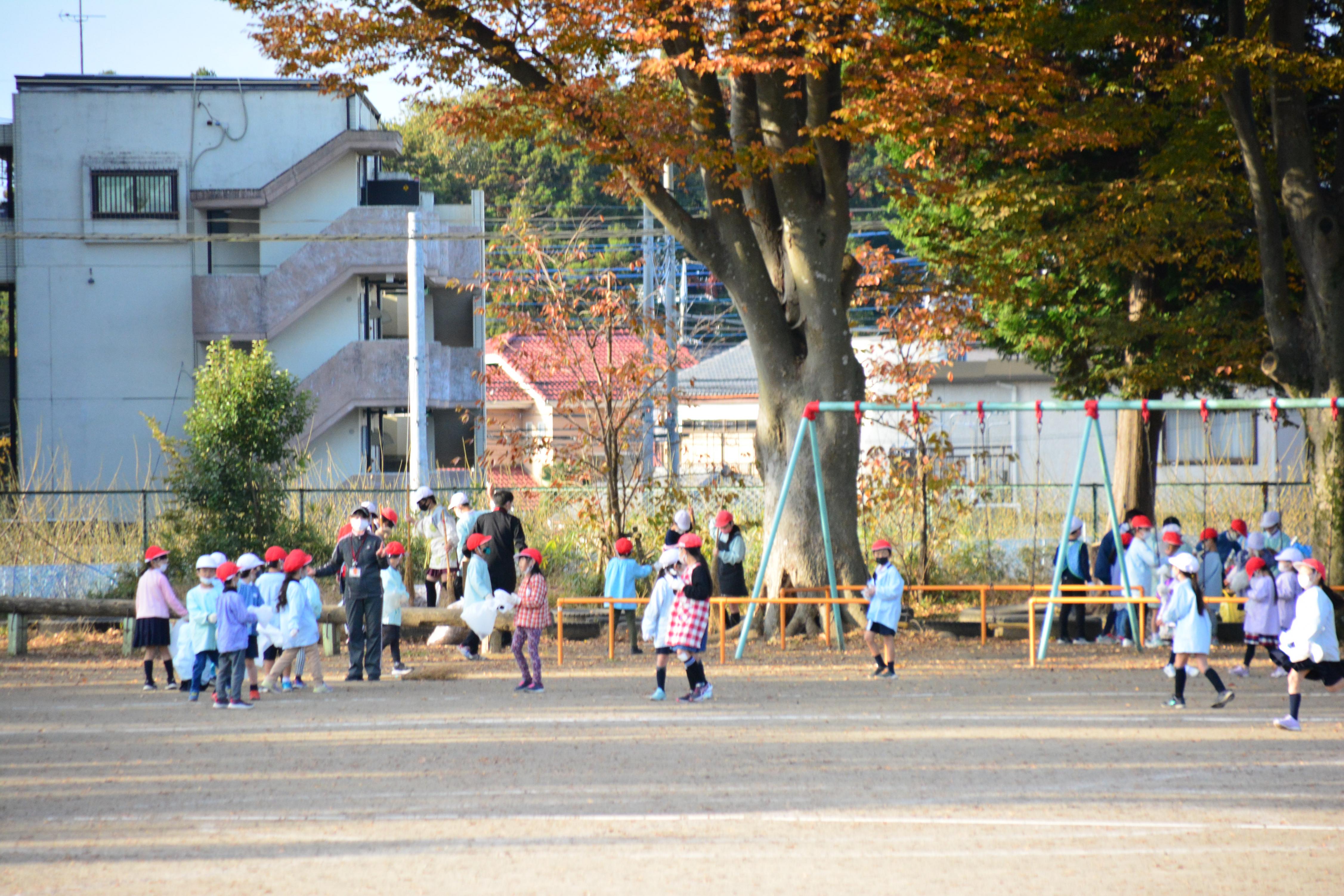 DSC_0341 DSC_0341