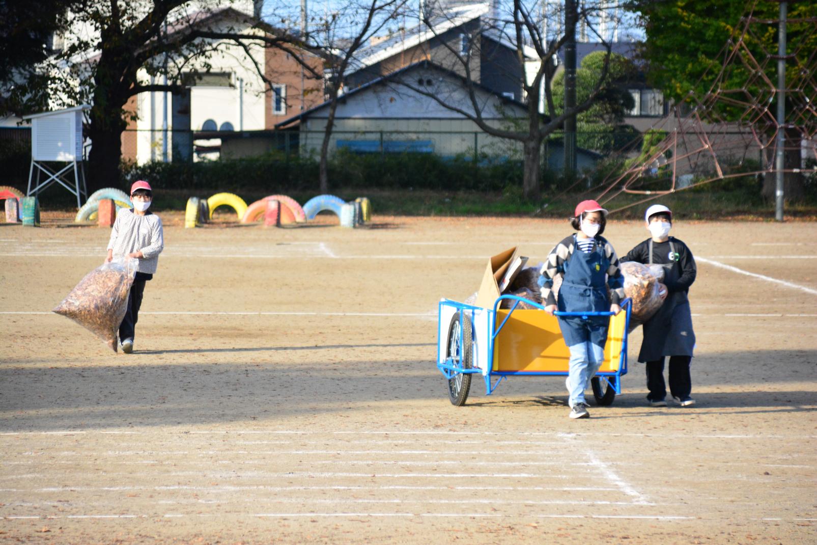 DSC_0348 DSC_0348
