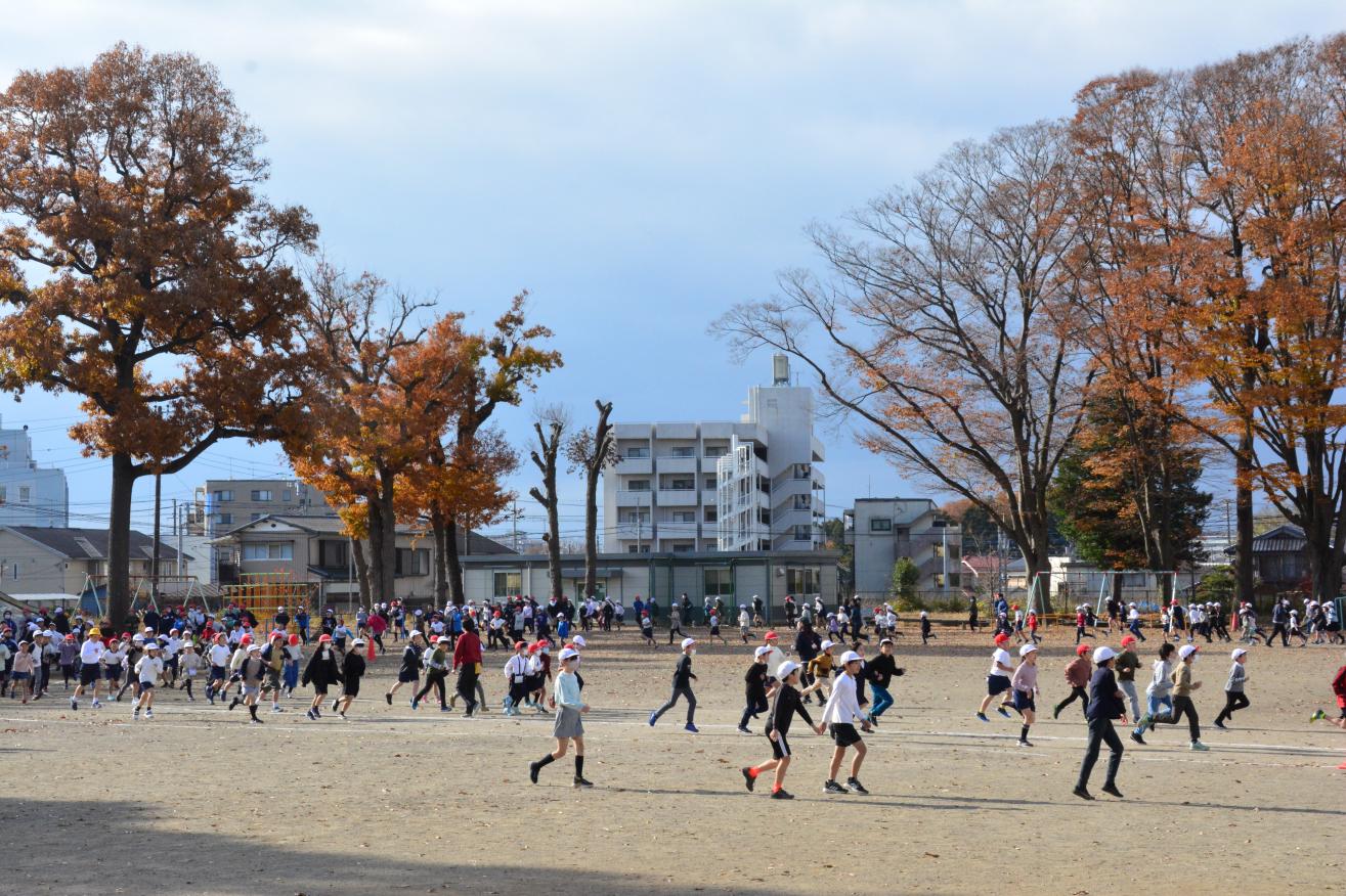 DSC_0633 DSC_0633