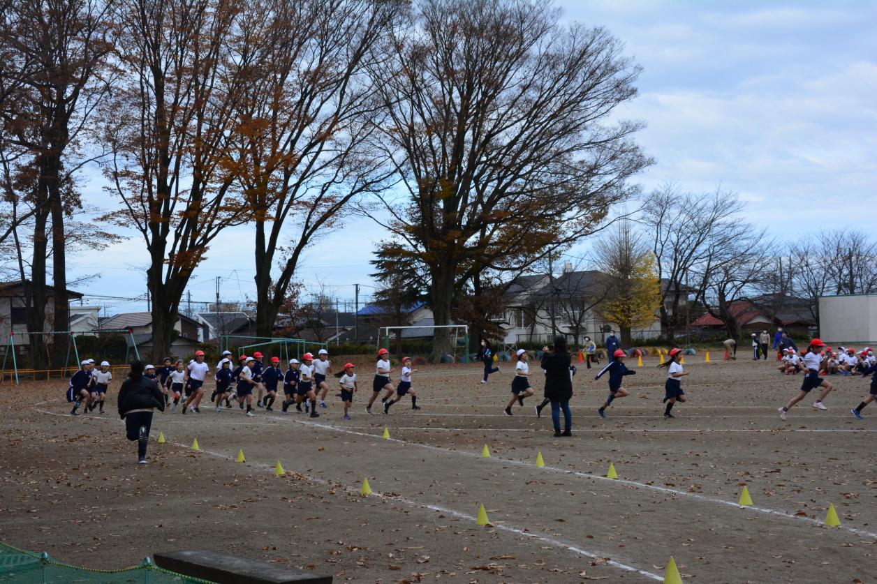 DSC_0703 DSC_0703