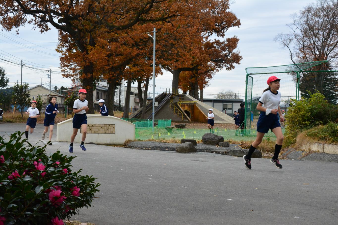 DSC_0734 DSC_0734