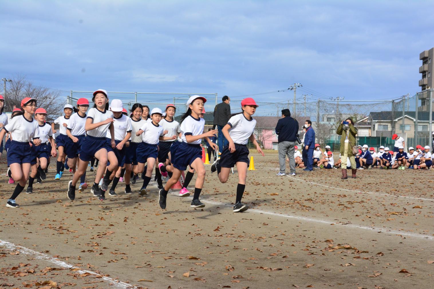 DSC_0770 DSC_0770