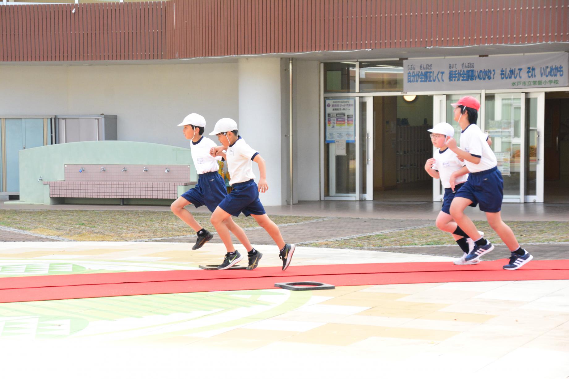 DSC_0806 DSC_0806