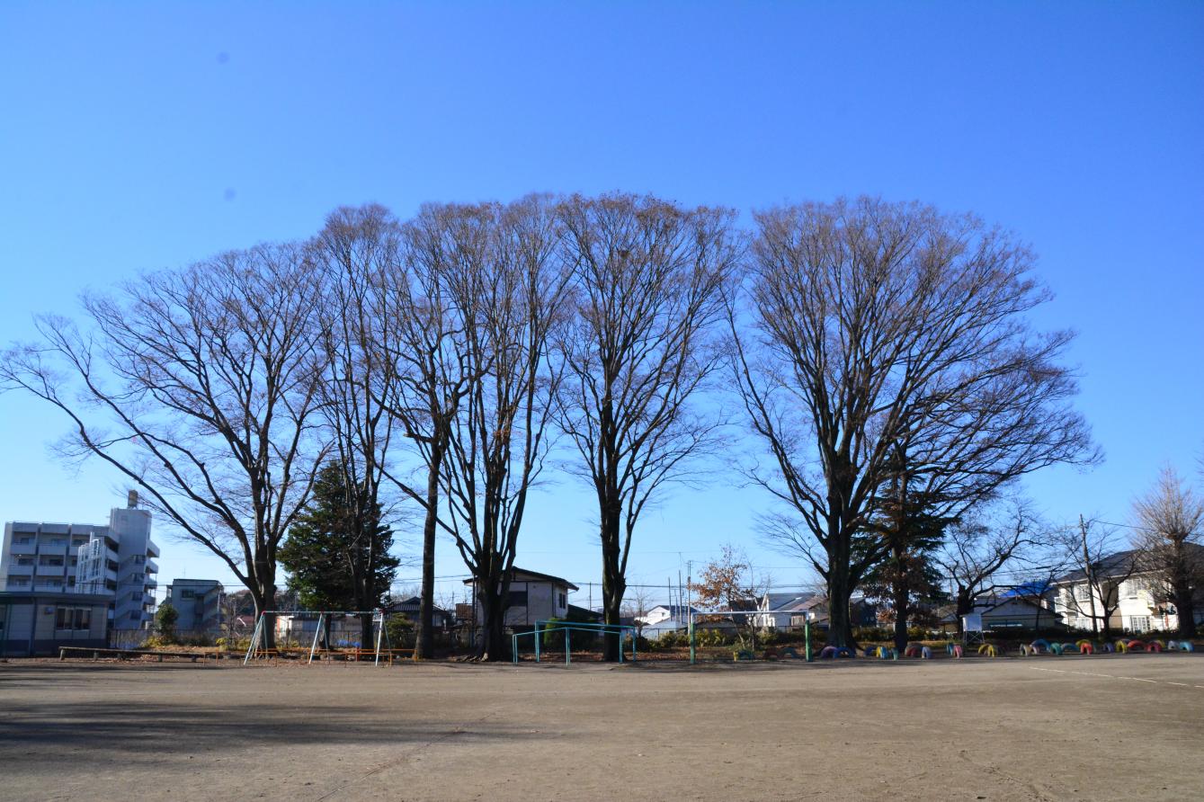 DSC_0903 DSC_0903