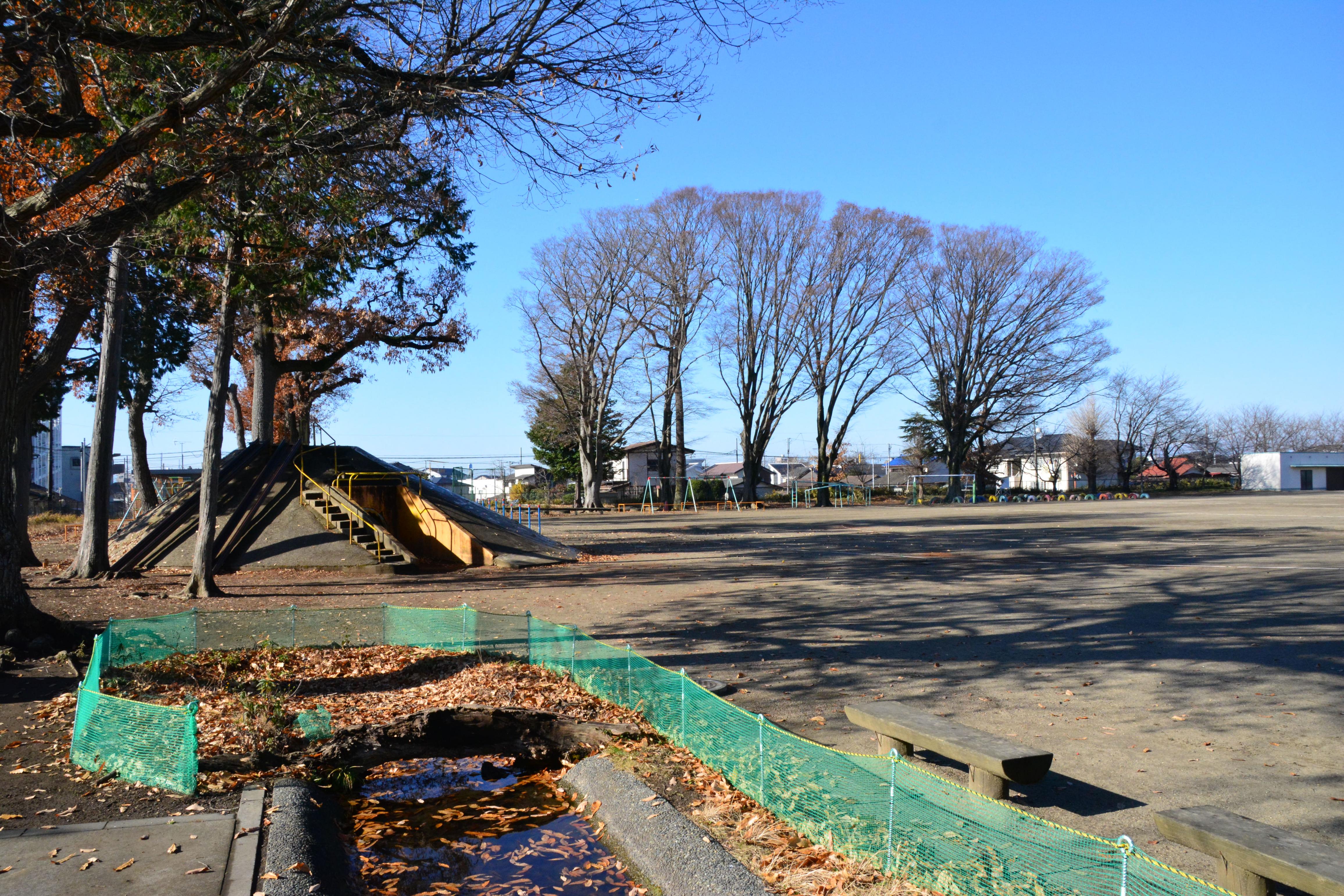 DSC_0905 DSC_0905