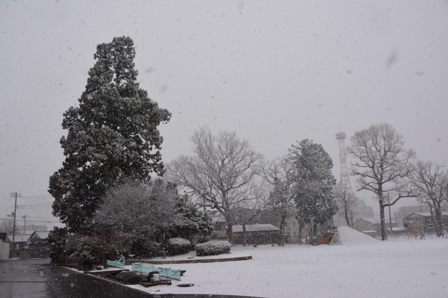 DSC_0004 DSC_0004