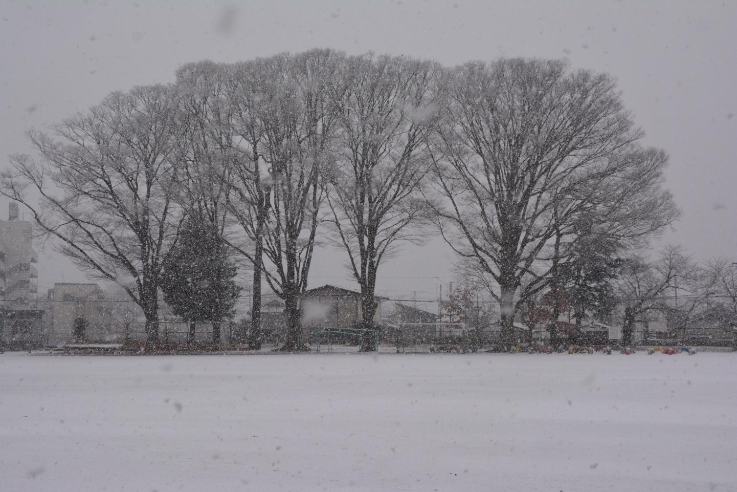 DSC_0002 DSC_0002