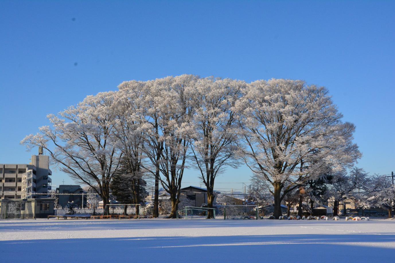 DSC_0016 DSC_0016