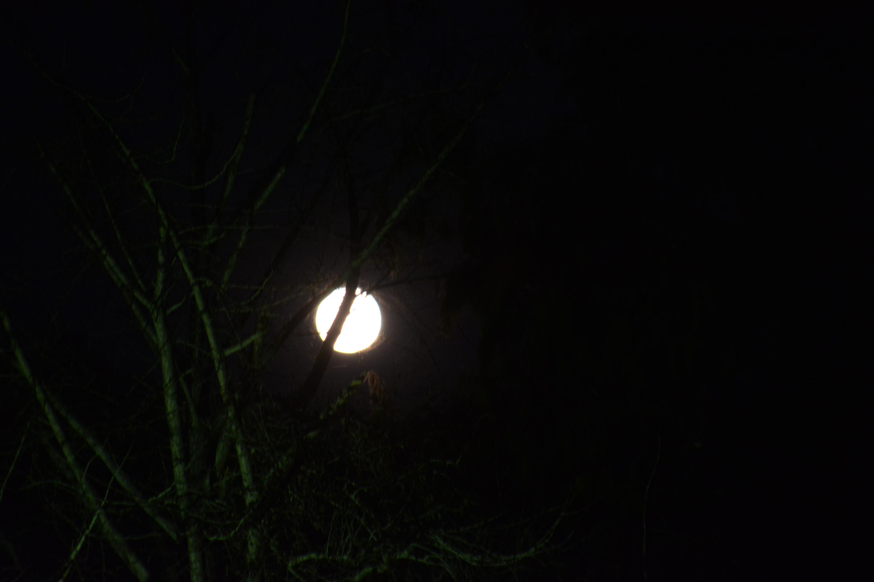 DSC_0269 DSC_0269