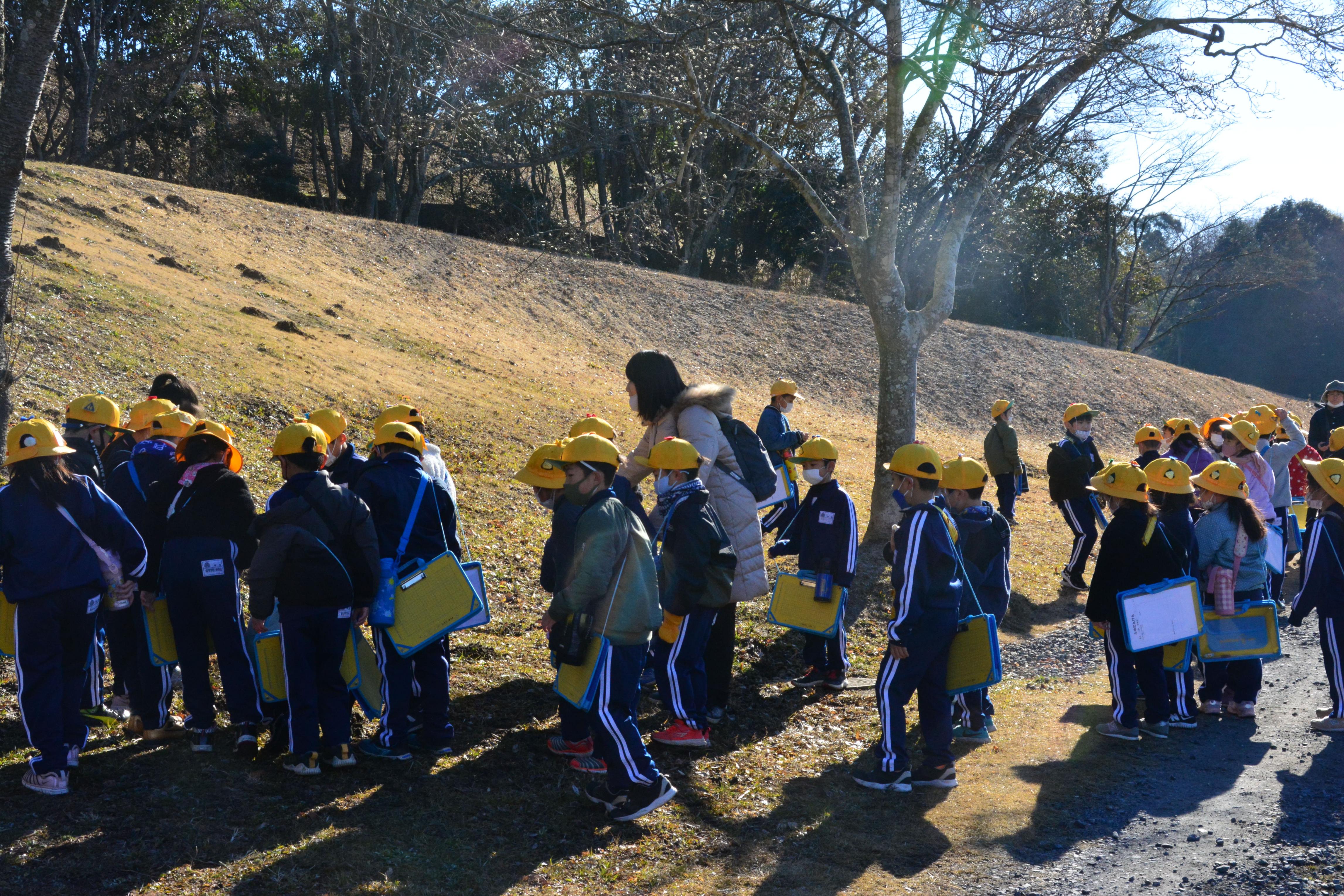DSC_0290 DSC_0290
