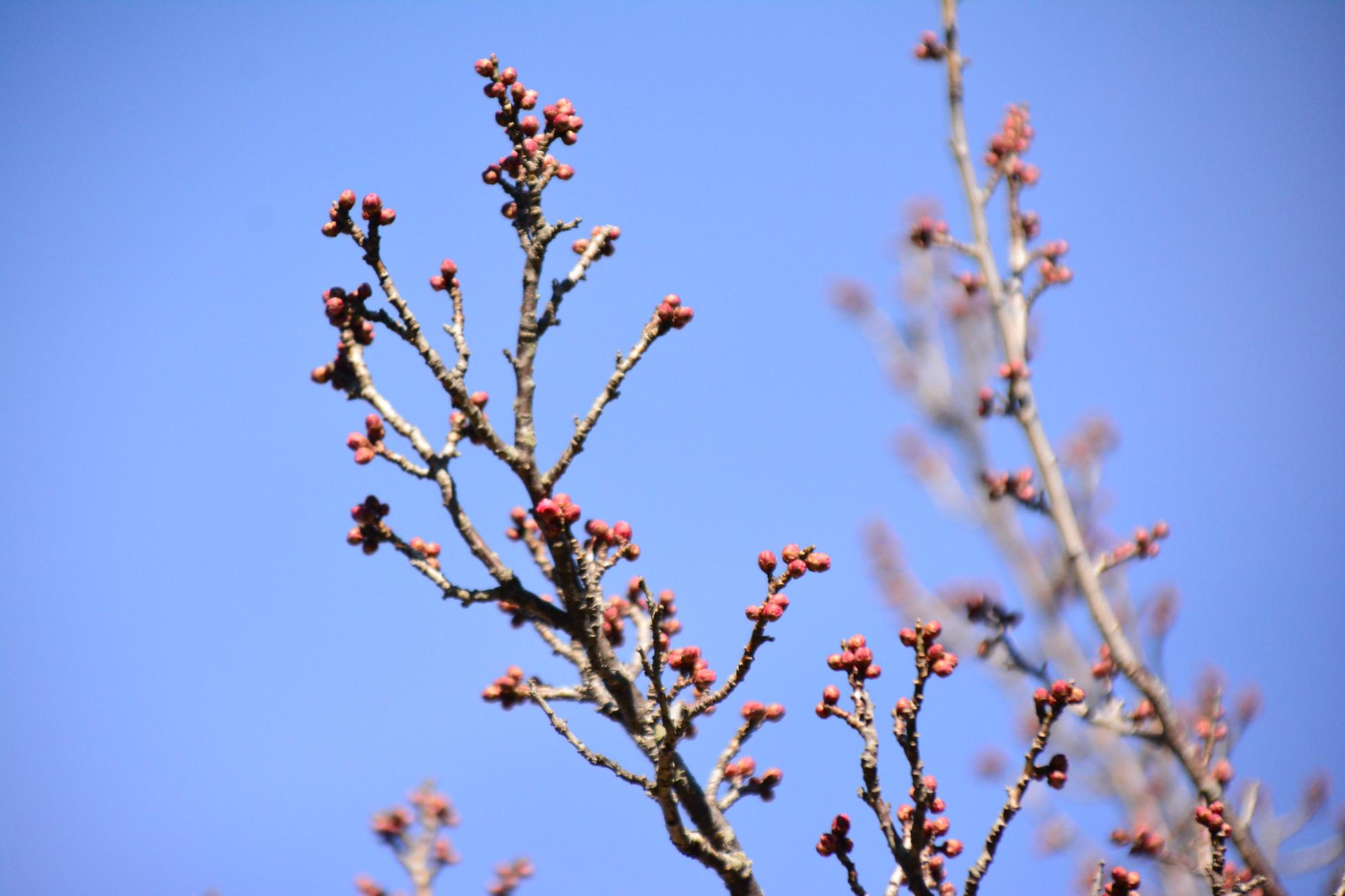 DSC_0354 DSC_0354