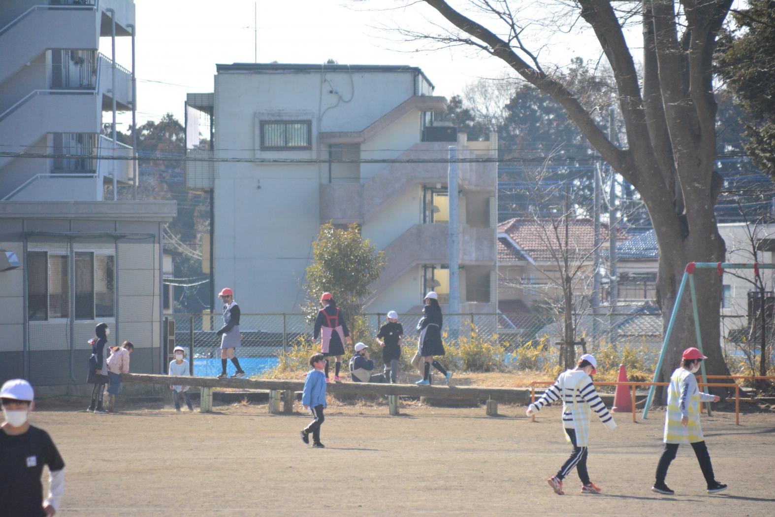 DSC_0428 DSC_0428