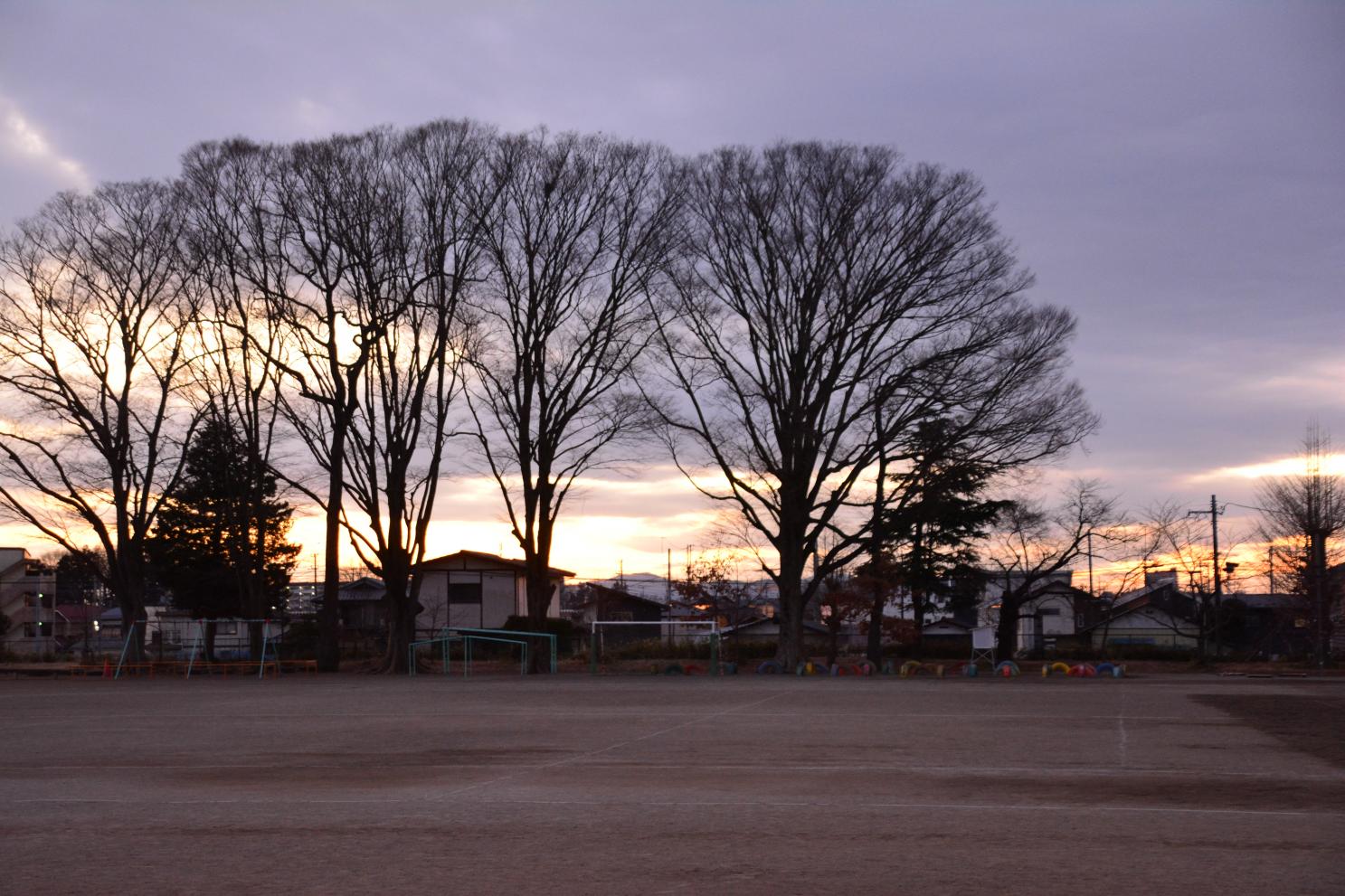 DSC_0429 DSC_0429