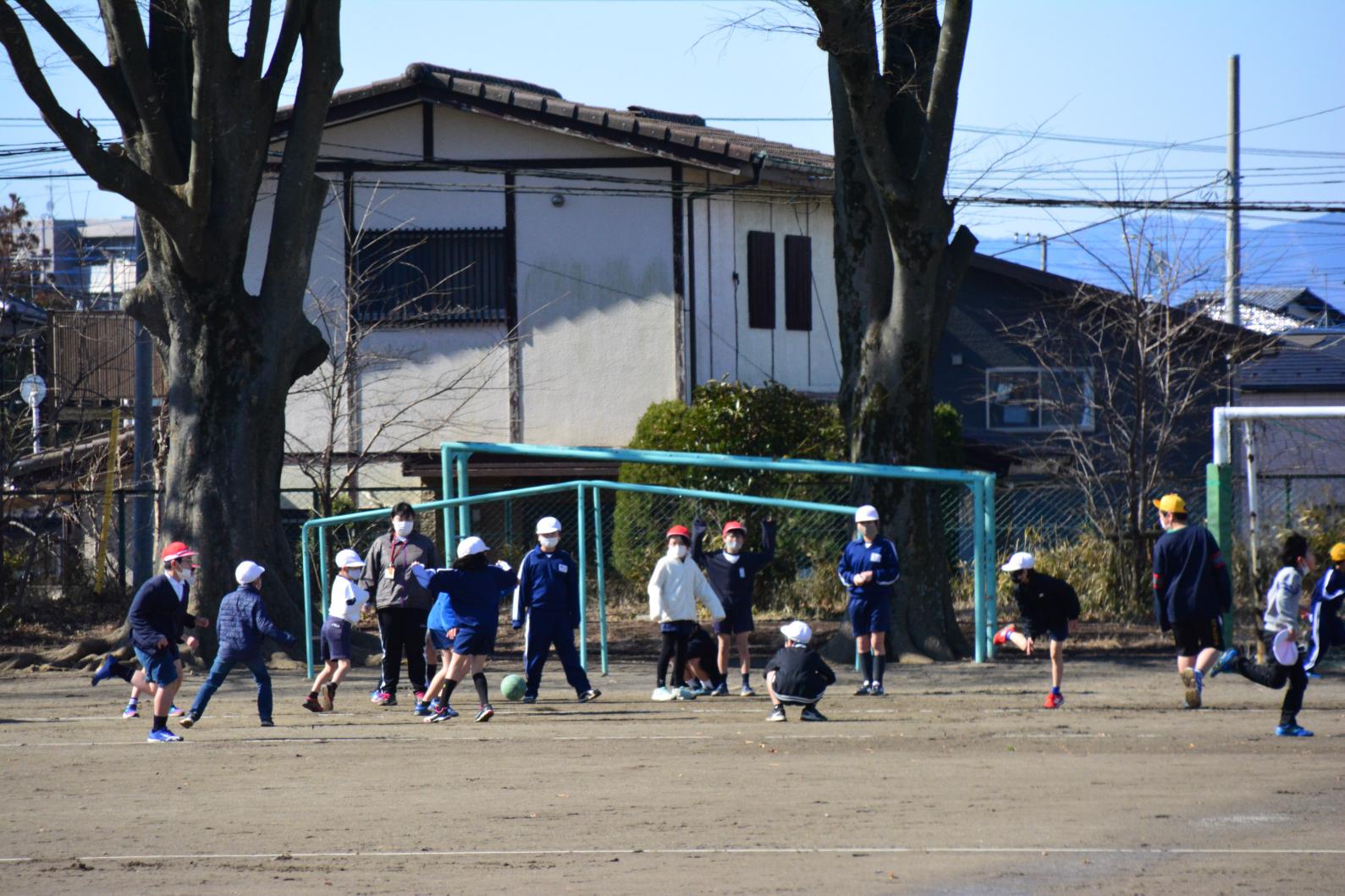 DSC_0603 DSC_0603