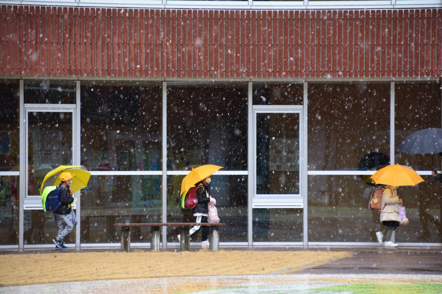 DSC_0012 DSC_0012