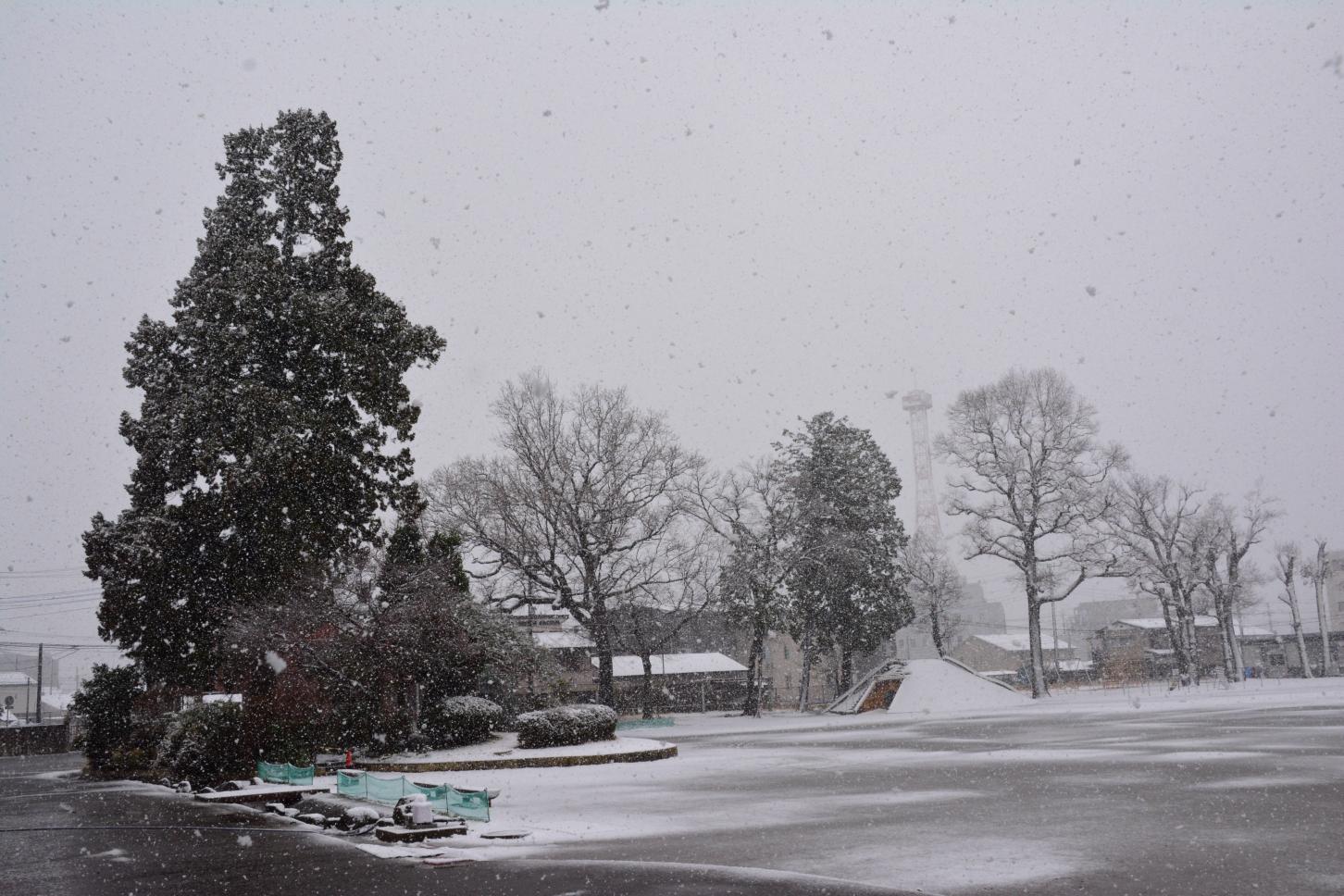 DSC_0040 DSC_0040