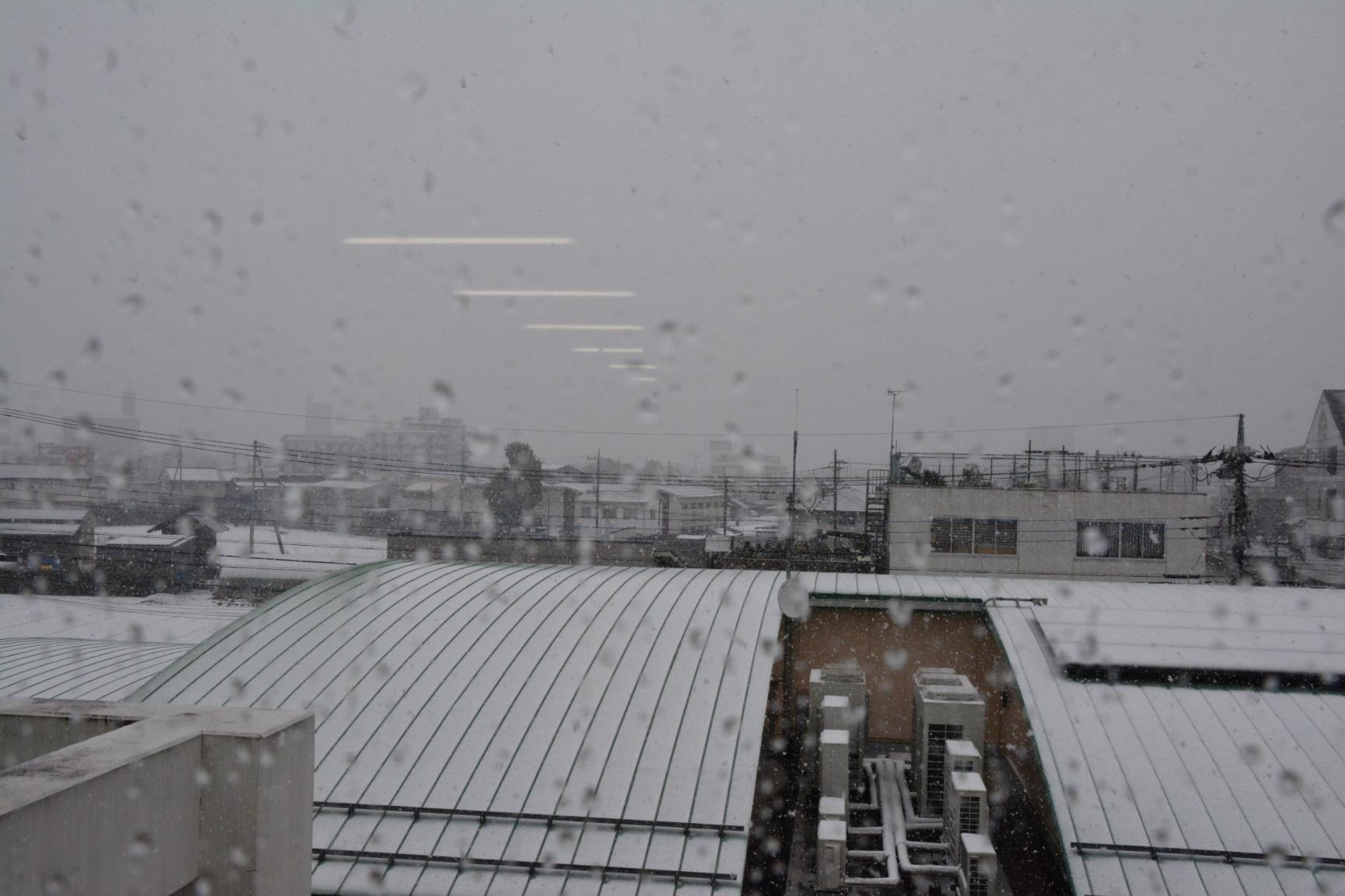 DSC_0027 DSC_0027
