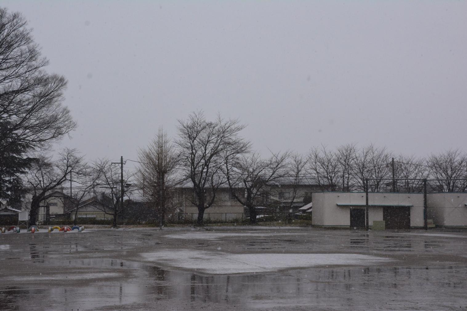 DSC_0013 DSC_0013