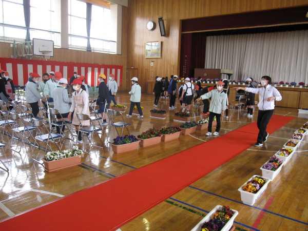 IMG_9562 IMG_9562